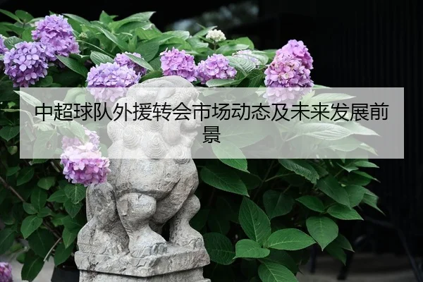 中超球队外援转会市场动态及未来发展前景